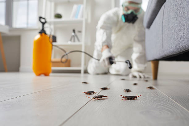 Commercial Kitchen Cockroach Control in Perry